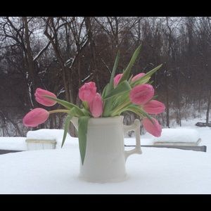 Meet your Posher, Debbie